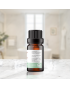 Organic Peppermint Essential oil